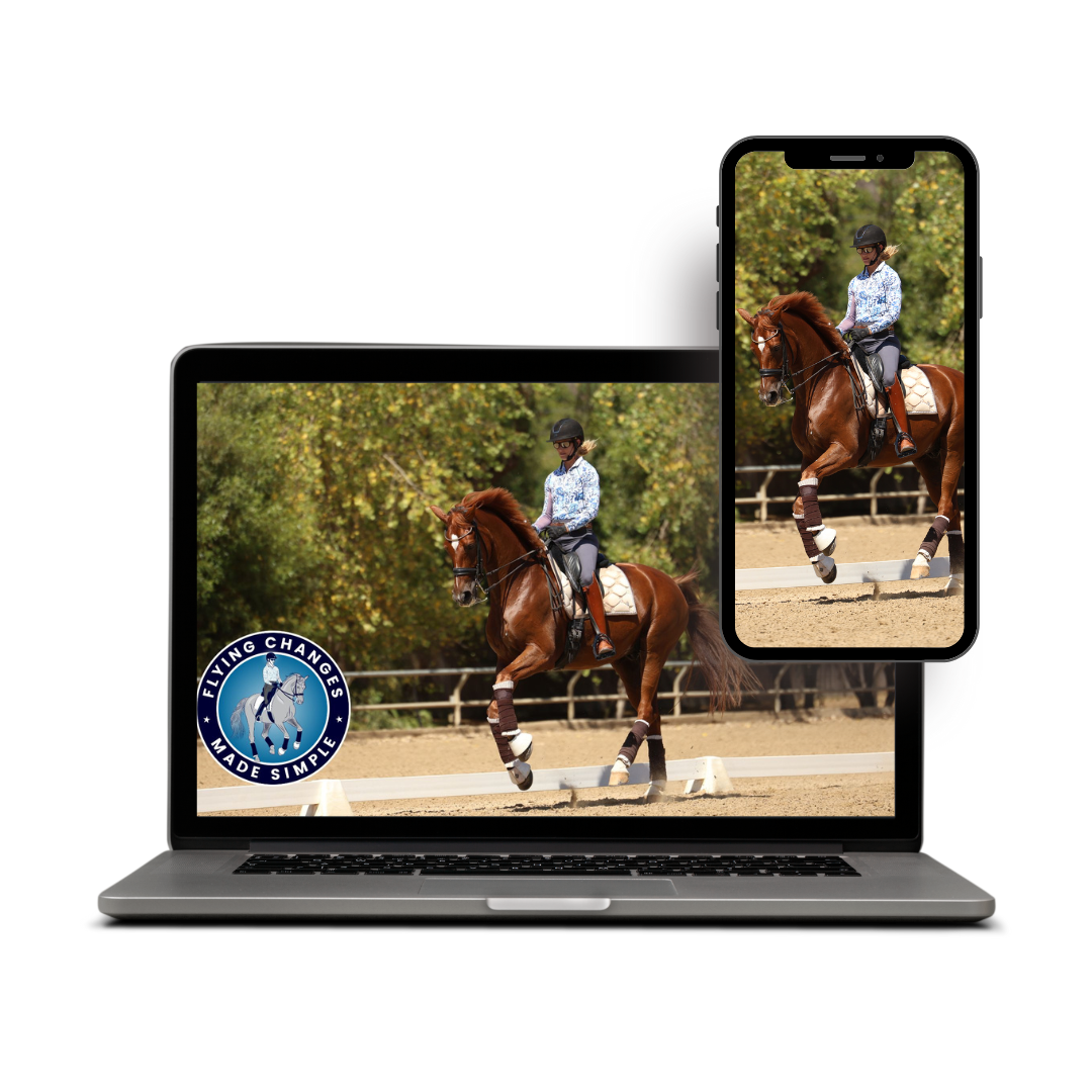 Training a brown horse in an outdoor arena to do dressage on multiple platforms