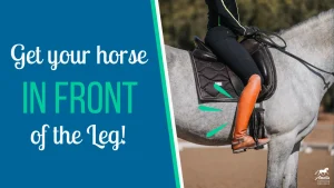 A rider with tall brown boots sits on a gray horse. Text on the left reads Get your horse IN FRONT of the Leg!—a key skill in horse riding. Green lines highlight the equestrian’s lower leg.