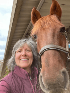 A smiling woman with gray hair takes a close-up selfie with a brown horse wearing a bridle, both under a covered outdoor structure, showcasing the groundwork of their bond.