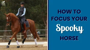 A rider in equestrian gear rides a chestnut horse in an arena. Beside them, text on a blue background reads: How to keep your horse focused with a safety circle.