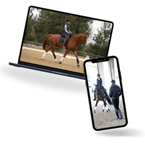 Dressage rider training a bay horse in an outdoor arena on two platforms