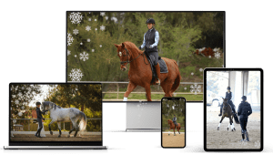 Dressage rider training a bay horse in an outdoor arena on multiple platforms