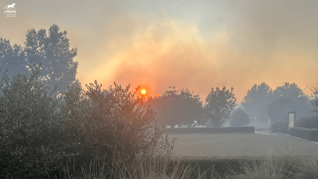 The sun glows orange through thick smoke from the Mountain Fire Update 2024, casting a hazy light over trees, hedges, and grass. The sky is filled with smoke, and visibility is reduced in the early morning or evening.