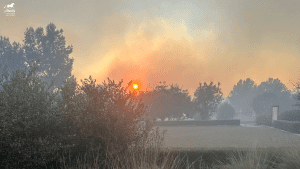 The sun glows orange through thick smoke from the Mountain Fire Update 2024, casting a hazy light over trees, hedges, and grass. The sky is filled with smoke, and visibility is reduced in the early morning or evening.