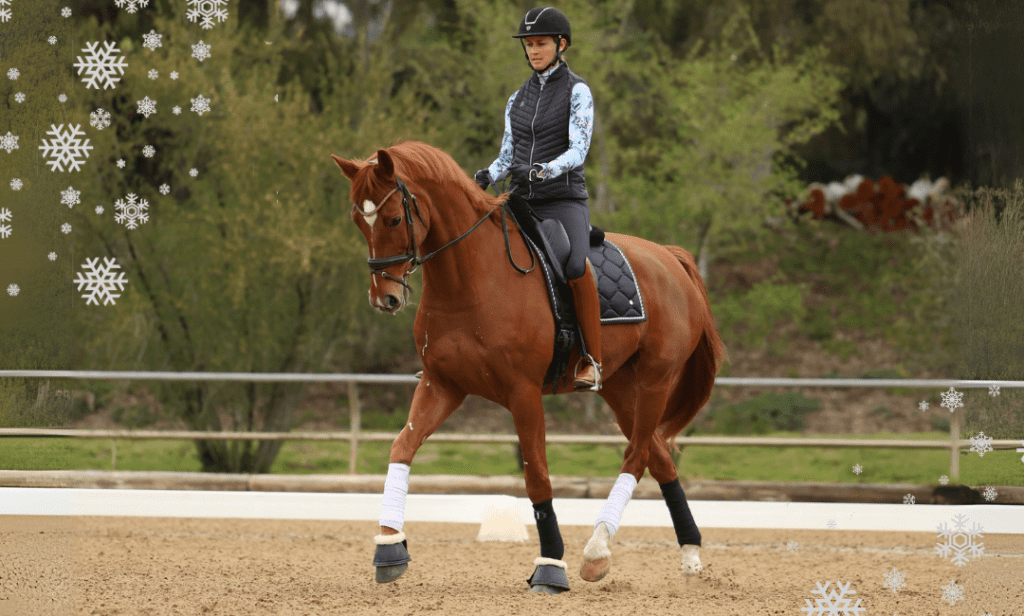 Amelia, dressed in riding gear and a helmet, enjoys Winter Riding on a chestnut horse with white leg wraps in an outdoor arena. Snowflake graphics add a festive touch, while trees and greenery fill the background.