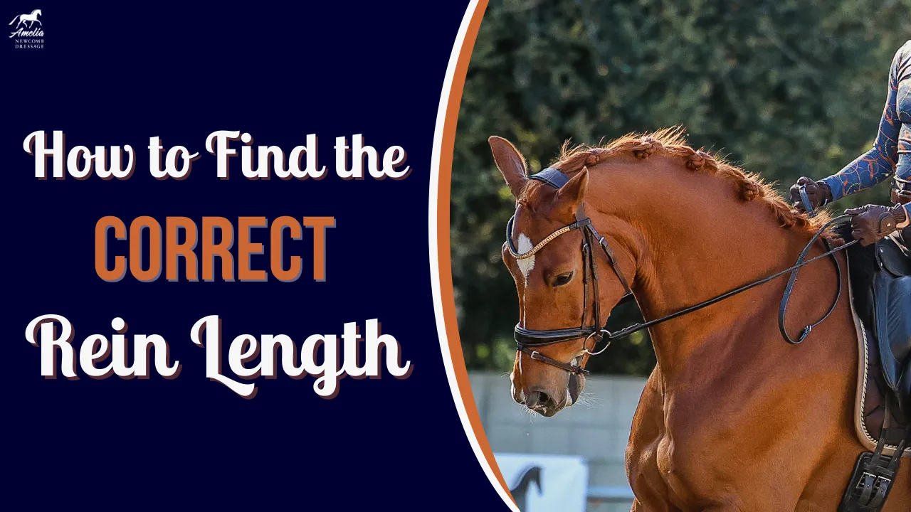 A rider on a brown horse with braided mane, holding the equestrian reins. The text reads, How to Find the Correct Rein Length in bold white and orange letters on a dark blue background.