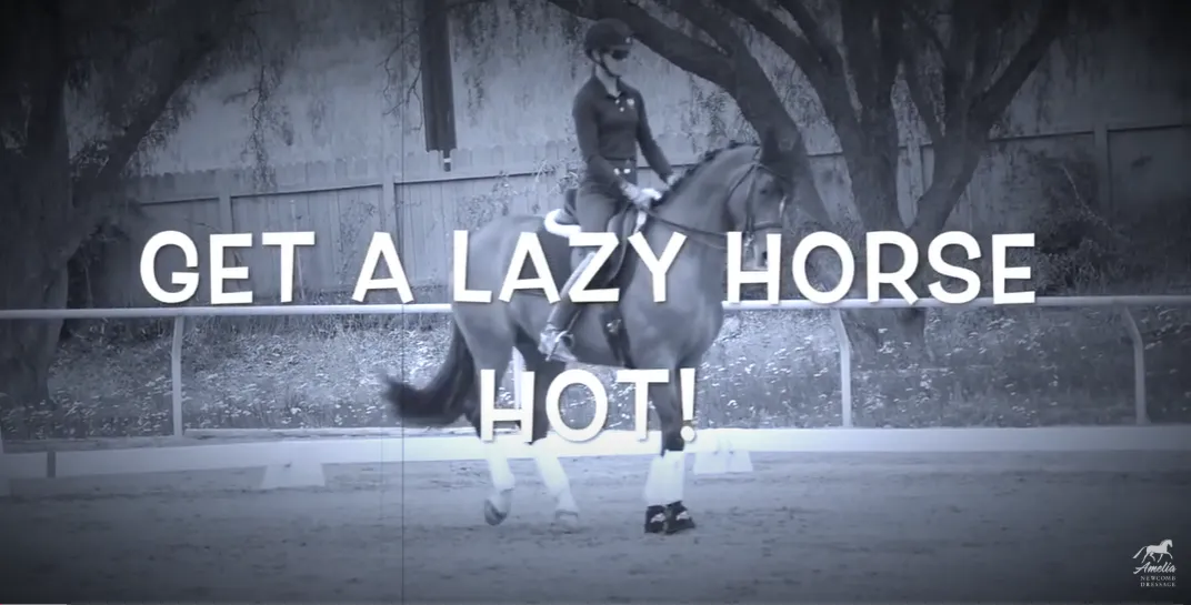 How to Get a Lazy Horse Hot