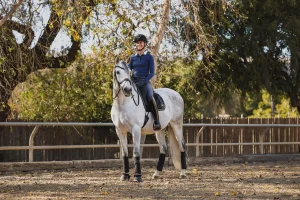 A person wearing a helmet and riding gear sits on a white horse in an outdoor arena, surrounded by a wooden fence and autumn trees—perfect for highlighting the Strides 2024 update on your sales page.