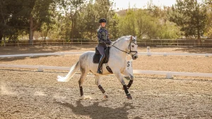 A person wearing a helmet and patterned top rides a white horse in an outdoor arena on a sunny day, performing dressage for Strides 2024, with trees and a fence in the background.