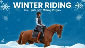 A person in riding gear rides a brown horse through snow under a blue, snowy sky. Text above reads: Winter Riding—Five Tips to Stay Consistent, with snowflakes decorating the image.