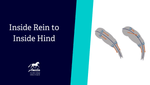 Graphic with text Inside Rein to Inside Hind beside a simple illustration of a horse showing lines connecting the inside rein to the inside hind leg; features one of Amelia’s top 10 training exercises and includes the Amelia Newcomb Dressage logo.