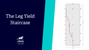 Slide titled The Leg Yield Staircase with the Amelia Newcomb Dressage logo. On the right, a diagram shows one of Amelia’s top 10 exercises, illustrating a horse’s diagonal movement pattern across the arena, marked by letters and steps.
