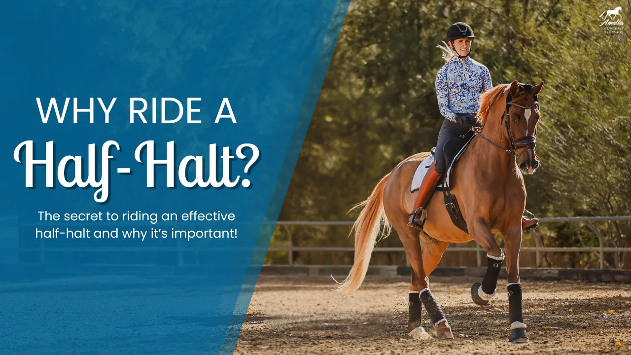 A rider in a patterned shirt and helmet guides a chestnut horse in an outdoor arena. The image reads: Why Ride a Half-Halt? Discover the secret to riding effective half-halts and why this riding technique is crucial!.