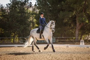 A person in a navy outfit and helmet rides a gray horse in an outdoor arena, surrounded by trees and sunlight, with dressage letters visible on the ground—an ideal setting for Dressage Training.
