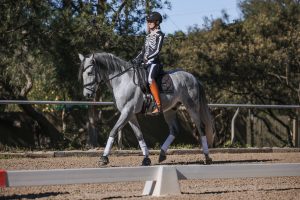 A person in a skeleton costume and helmet, demonstrating Position Training, rides a grey horse in an outdoor dressage arena on a sunny day, surrounded by trees and fencing.