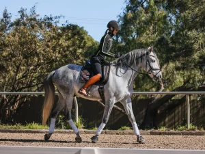 A person demonstrates excellent rider position, wearing a helmet and riding gear while guiding a gray horse with white leg wraps along a fenced outdoor track, surrounded by trees and greenery.