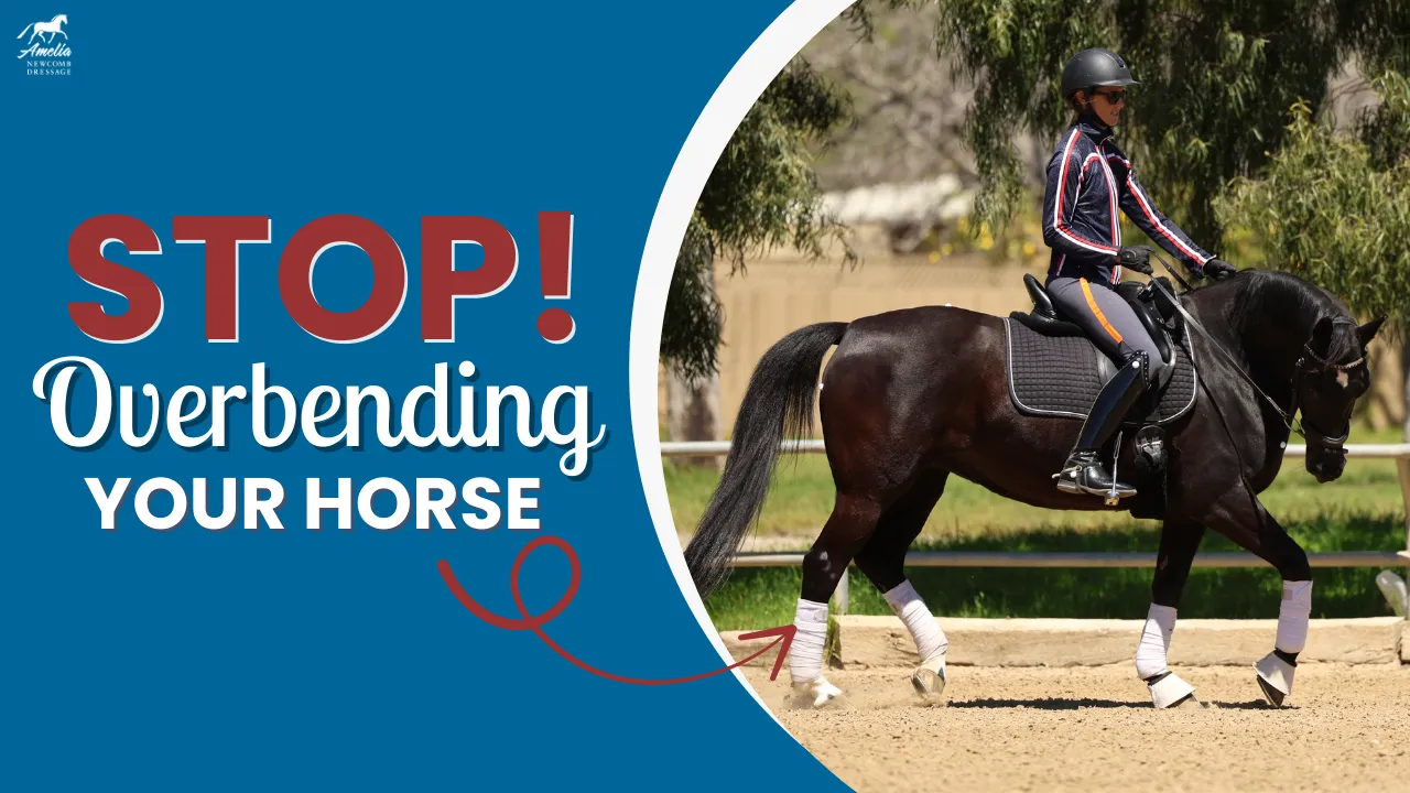 A rider on a black horse in an arena with text saying, STOP! Overbending your horse. An arrow points to the horse’s outside shoulder, highlighting drifting and showing how to fix incorrect bending.