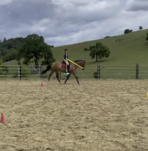 A Free Rider rides a brown horse in an outdoor sandy arena, practicing position training amid red and yellow cones. The fenced space is bordered by grassy hills, and the sky above is cloudy.