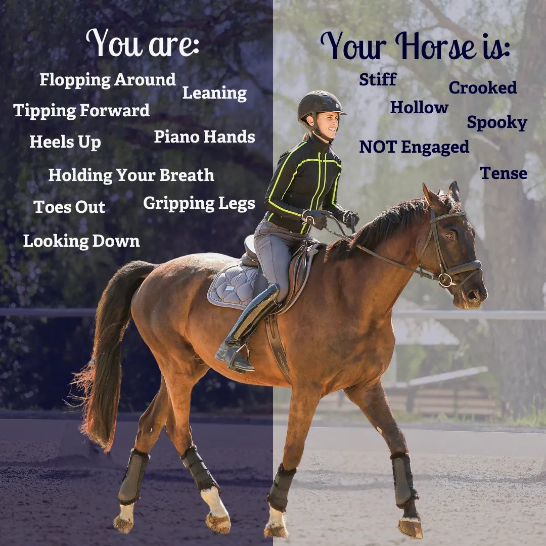 A rider in an arena on a brown horse; text lists common rider training issues on the left and horse issues on the right, highlighting how rider actions affect the horse’s behavior and movement.