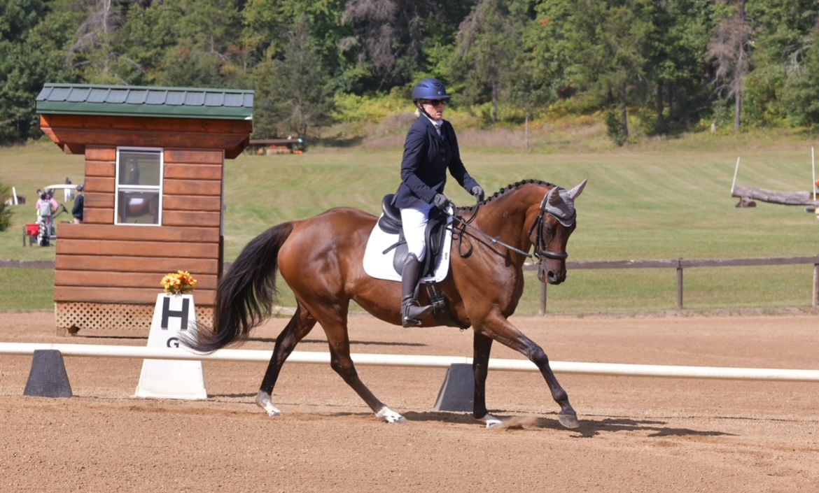 Member Tammy, in formal attire and helmet, guides a brown horse’s strides during a dressage test in an outdoor arena, with a wooden judges booth and green trees in the background.