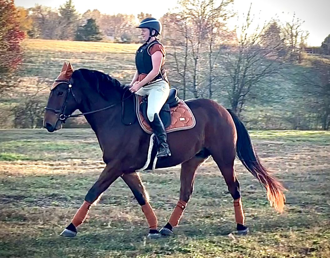 A person wearing a helmet and riding gear is riding a brown horse across a grassy field with autumn trees in the background. The horse has matching brown tack and leg wraps.