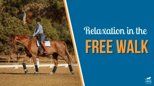 A rider in a helmet and patterned shirt guides a chestnut horse in an arena. On the right, text reads, Relaxation in the FREE WALK on a blue background with the Amelia Newcomb Dressage logo.
