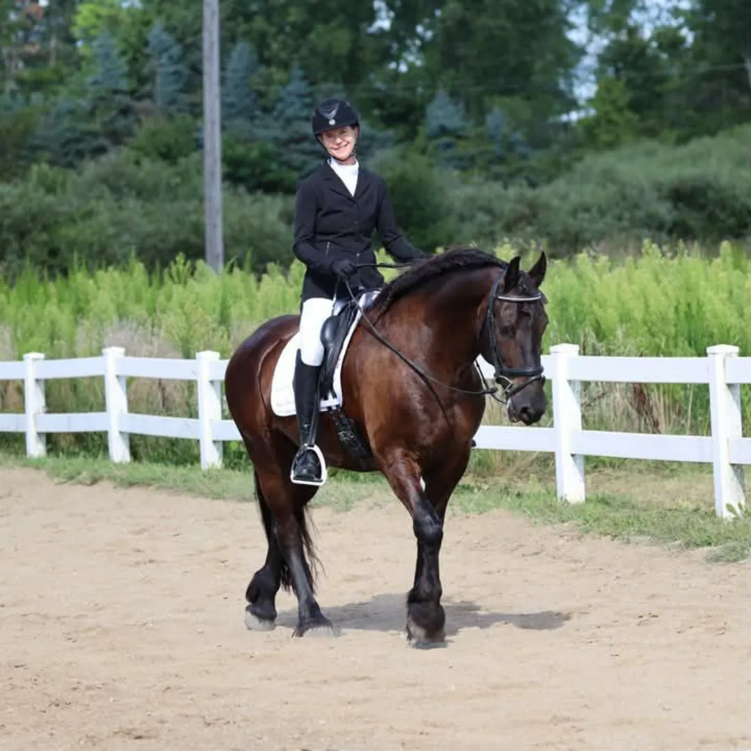 A person dressed in formal equestrian attire rides a dark brown horse in an outdoor arena with a white fence and green foliage in the background.