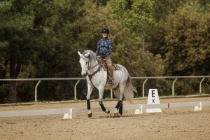 A person wearing a helmet and patterned shirt canters a gray horse in a sandy outdoor arena, passing a marker labeled E x. Trees and greenery are visible in the background, capturing an Open Page moment of Canter V1 equestrian training.
