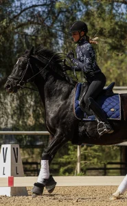 A person wearing a helmet rides a black horse with a blue saddle pad in an outdoor arena, cantering past a white marker labeled V. The horse is mid-motion, and trees are visible in the background, capturing the elegance of Canter V1.