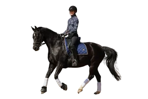 A person wearing a helmet and patterned jacket rides a dark horse with a blue Canter V1 saddle pad and white leg wraps, both appearing calm and focused.