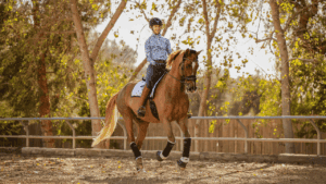 5 cantering tips