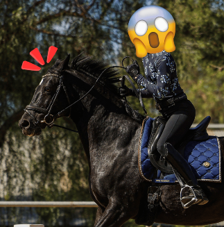 A person riding a black horse outdoors, dressed in riding gear with a blue saddle pad labeled "Canter V1." The rider’s face is covered by a shocked emoji, and red exclamation lines appear near the horse’s head.