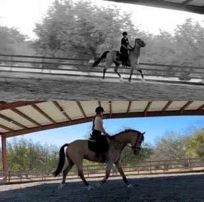 Split image shows a person riding a horse at canter in an arena. The top half is black and white, the bottom in color—both under a covered riding area with trees behind. Explore more with Canter V1 on Open Page.