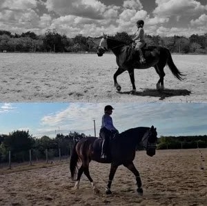 A person wearing a helmet rides a horse at canter V1 in an outdoor sandy arena; the top half of the image is black and white, while the bottom half is in color, both depicting similar open page-like scenes.