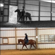 Two photos from Canter V1 Open Page: The top black-and-white image shows a horse entering indoors; the bottom, in color, captures the rider and horse along a sandy arena wall.