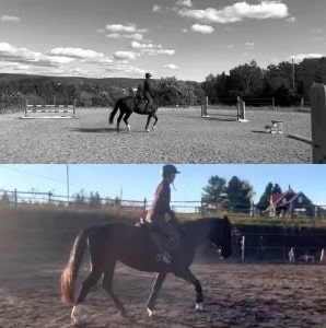 Split image: Top half shows a rider on a horse in an outdoor arena with jumps, captured in classic black and white—showcasing Canter V1. Bottom half reveals the same pair walking through a sunlit arena, with buildings and trees behind.
