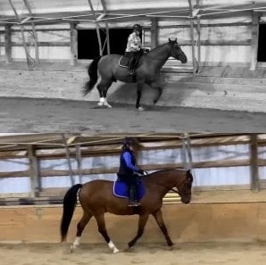 Split image: The top half shows a rider on a horse in a black-and-white indoor arena; the bottom half, labeled Canter V1 Open Page, features another rider in a color indoor arena, both riding parallel to the wall.