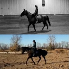 A split image shows a person riding a horse; the top half is in black and white indoors, while the bottom half—labeled with Canter V1—is in color outdoors on sandy ground with leafless trees in the background.