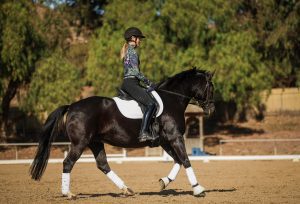 A person wearing a helmet and patterned jacket demonstrates the Rider Position Blueprint as they ride a dark horse with white leg wraps in an outdoor sandy arena, surrounded by trees and a wooden fence.