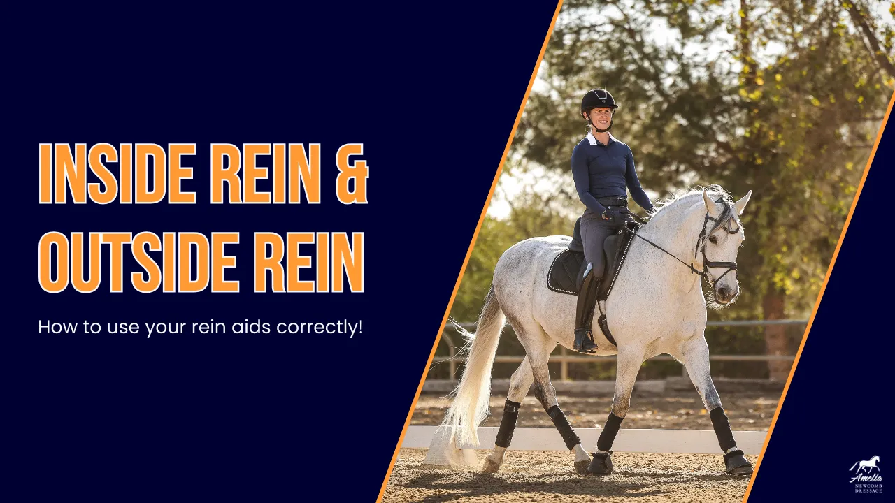 A person horse riding on a white horse in an outdoor arena; text on the left reads Inside Rein & Outside Rein - How to use your rein aids correctly! on a dark blue background.