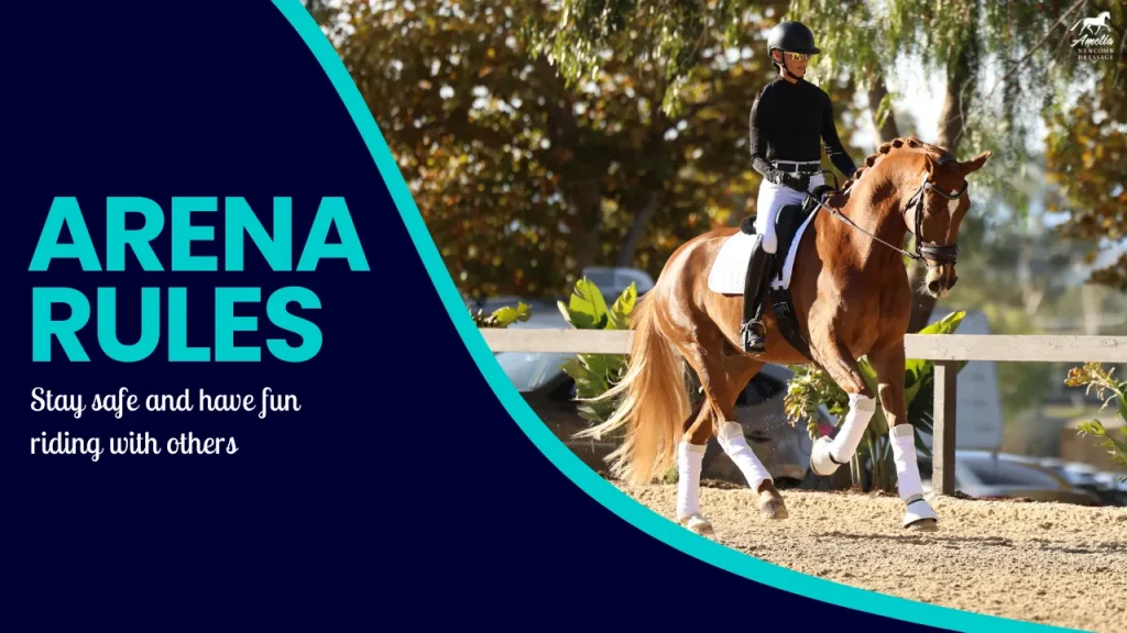 A rider in a black helmet and outfit is riding a chestnut horse in a sunlit arena. On the left, bold text reads Arena Rules with a subtitle: Follow horse riding rules to stay safe and have fun on a dark blue background.