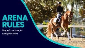 A rider in a black helmet and outfit is riding a chestnut horse in a sunlit arena. On the left, bold text reads Arena Rules with a subtitle: Follow horse riding rules to stay safe and have fun on a dark blue background.