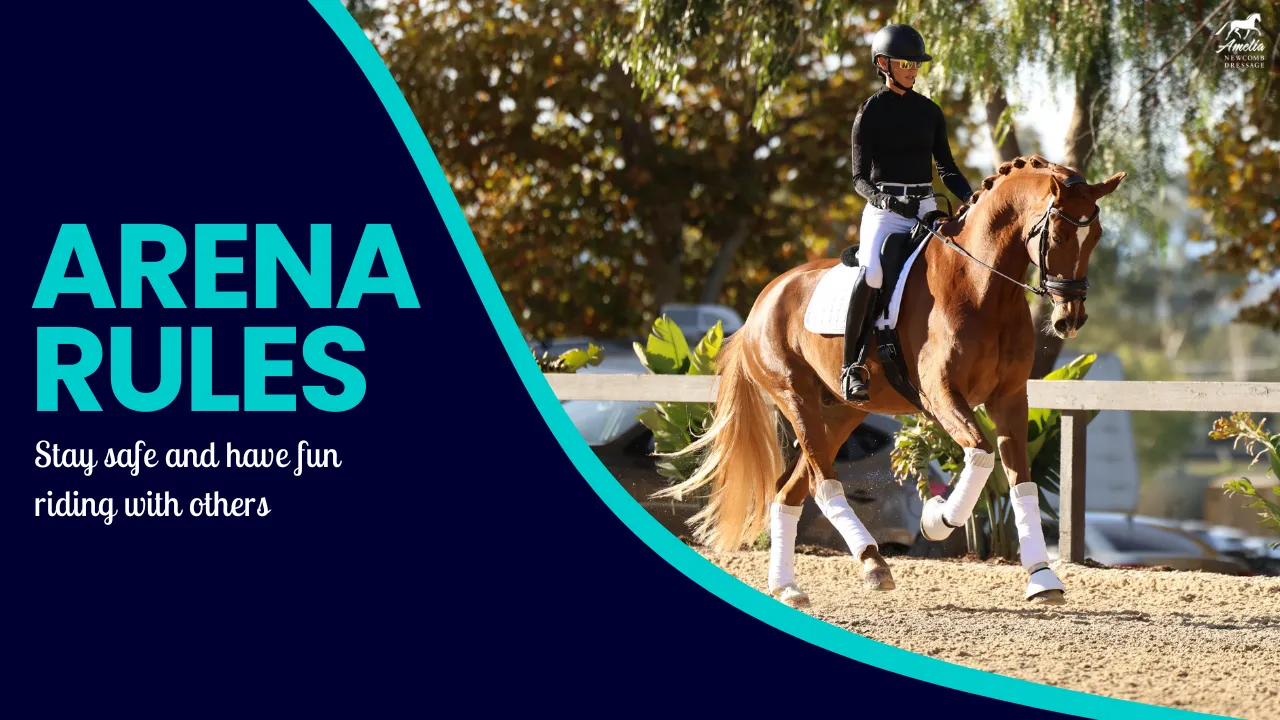 A rider in a black helmet and outfit is riding a chestnut horse in a sunlit arena. On the left, bold text reads Arena Rules with a subtitle: Follow horse riding rules to stay safe and have fun on a dark blue background.
