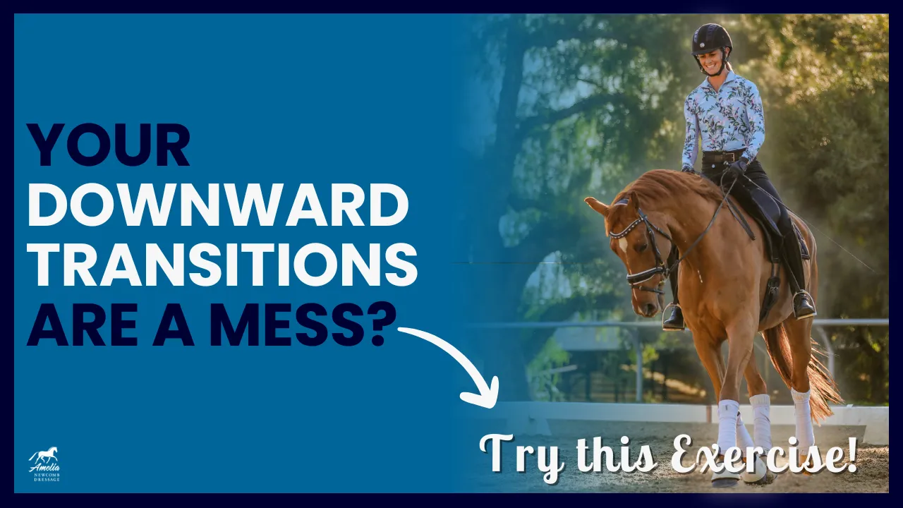 A rider on a chestnut horse is shown on the right, and on the left, bold text reads, Sloppy transitions got you down? Try this exercise to fix transitions! An arrow points from the text to the rider.
