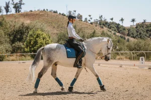 A person in equestrian gear rides a gray horse with blue accessories in an open sandy arena, surrounded by hills and trees on a sunny day—perfect for training ahead of Round 2025.