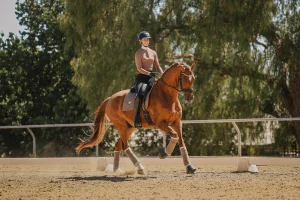A person wearing a helmet rides a chestnut horse with protective leg wraps in an outdoor sandy arena, surrounded by trees and sunlight—perfect for training before Round 2025.