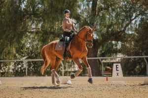 A person in a helmet rides a chestnut horse in an outdoor arena, performing dressage near a marker labeled E. Tall trees and a fence are visible in the background at an Open 30 Days to Round 2025 event.