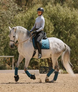A rider in a helmet and riding attire guides a white horse with blue gear across a sandy arena. Green trees frame the scene—perfect for practicing before the Open or Round 2025, just 30 Days to Round!.