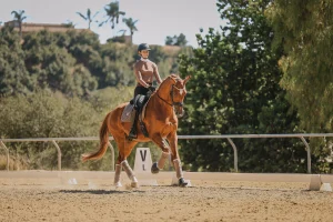 A person in a helmet and sleeveless top rides a chestnut horse in an open outdoor arena on a sunny day, passing a marker labeled V. Trees and a fence line the background as they prepare for the Round 2025 event.
