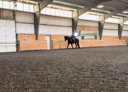 A person rides a dark horse inside an indoor riding arena with wooden walls and orange traffic cones on the ground. The rider is wearing a helmet.